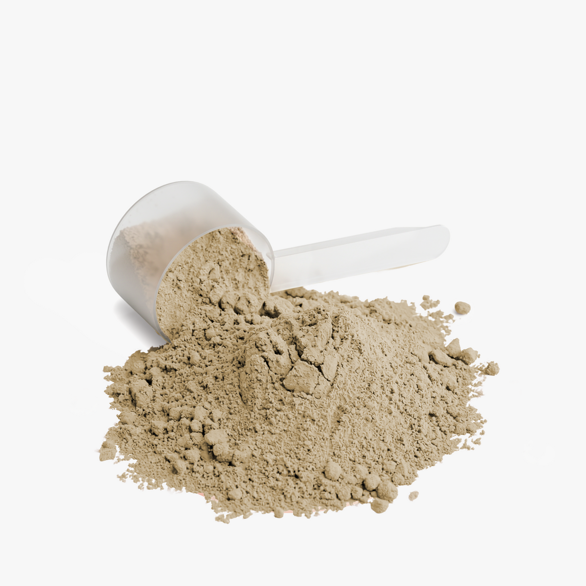 Plant-Based Protein Powder – Vanilla